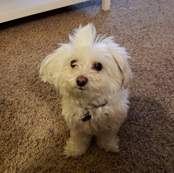 Welcome to my Closet🌻 - Picture 2 of 3